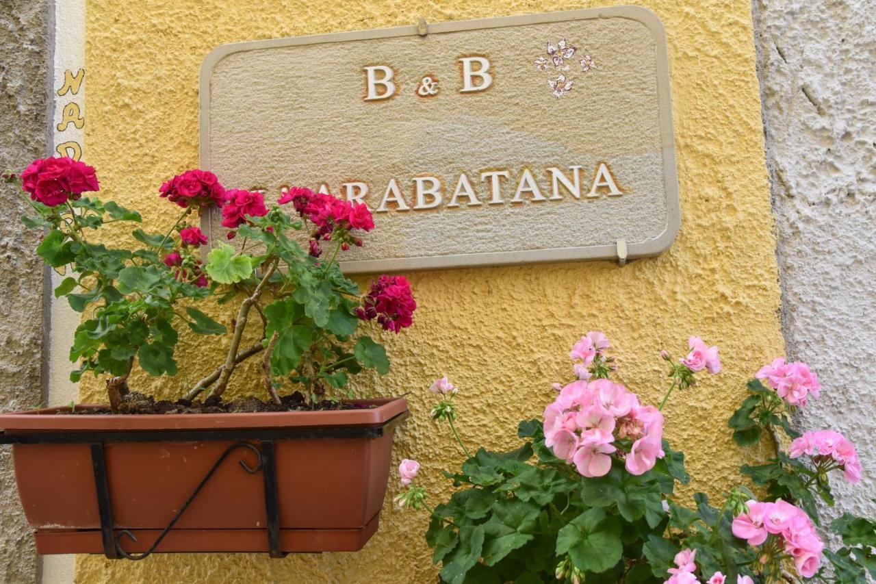 B&B L'Arabatana Pietrapertosa Dış mekan fotoğraf