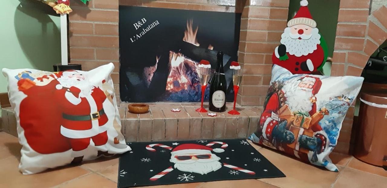 B&B L'Arabatana Pietrapertosa Dış mekan fotoğraf