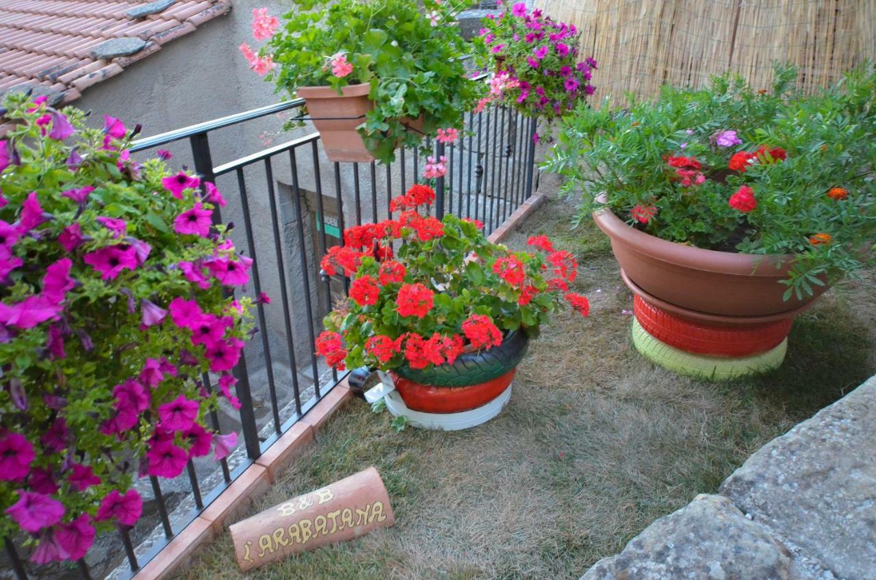 B&B L'Arabatana Pietrapertosa Dış mekan fotoğraf